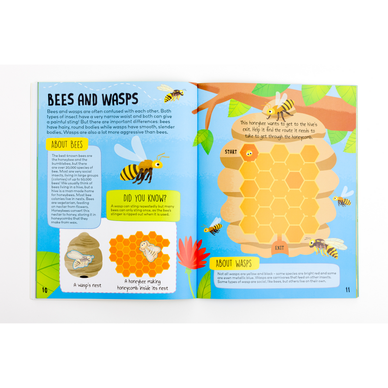 Know and Glow: Insects and Bugs Sticker Activities